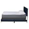 Baxton Studio Abberton Modern and Contemporary Navy Blue Velvet and Gold Metal Queen Size Panel Bed 220-12850-ZORO - alternate 7
